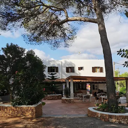 Affittacamere 3 Golondrinas Santa Eularia des Riu
